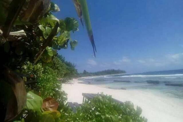 Moorea Temae Bungalow Lory Bord De Mer Buitenkant foto