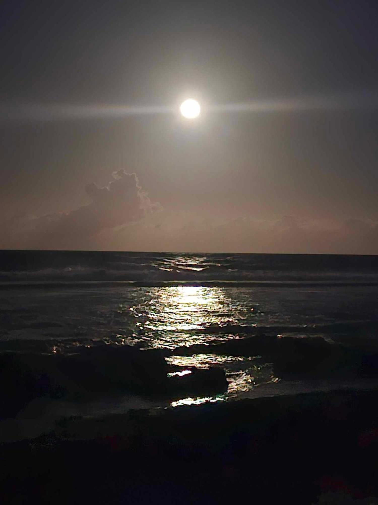 Moorea Temae Bungalow Lory Bord De Mer Buitenkant foto