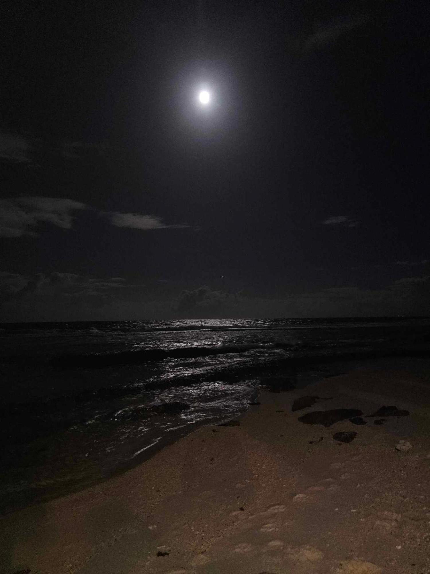 Moorea Temae Bungalow Lory Bord De Mer Buitenkant foto